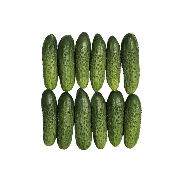 Огурцы корнишоны