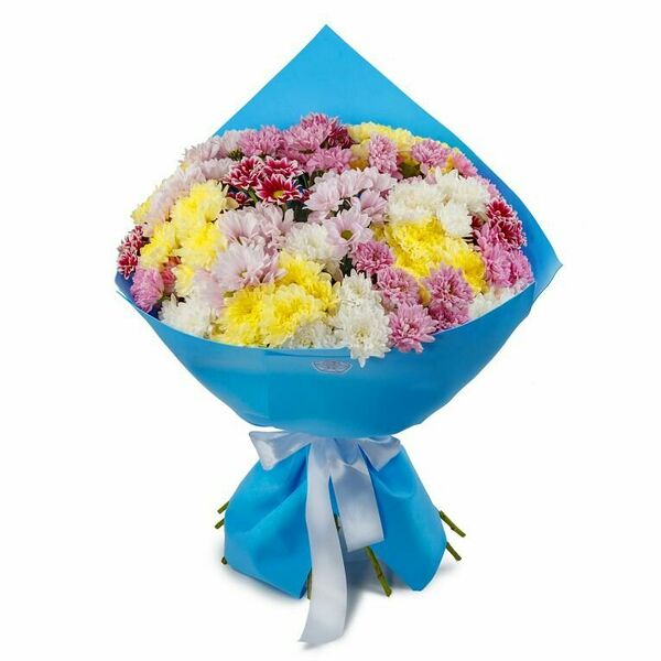 Букет из хризантем Звездное небо макси