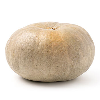 Тыква серая