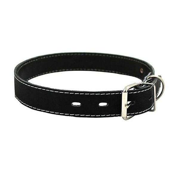Ошейник Каскад №20 кожа с синтепоном для собак 20мм 32-40см