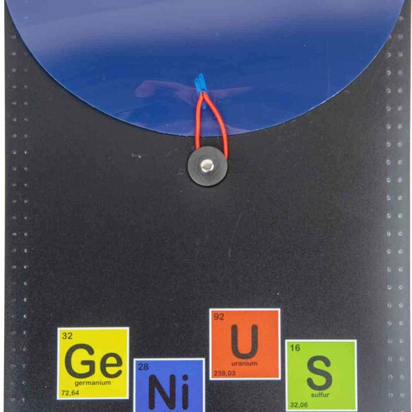 Папка с резинками А4 deVENTE Genius 6 отделений, 235×340×30 мм