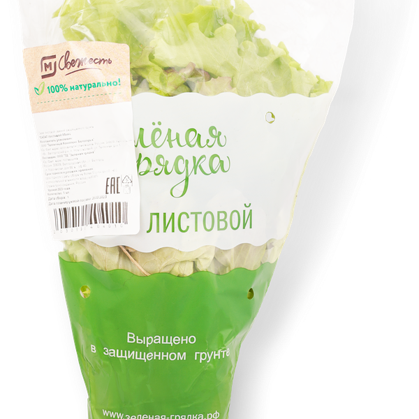 Салат листовой Микс в горшочке