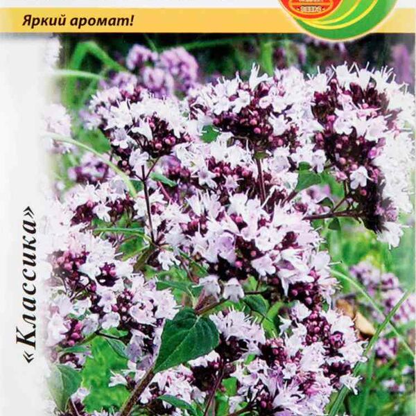 Душица Северное Сияние Русский Огород Классика