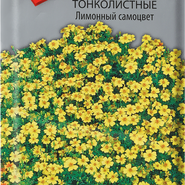 Семена ПОИСК Бархатцы тонколистные Лимонный самоцвет, 0,1г