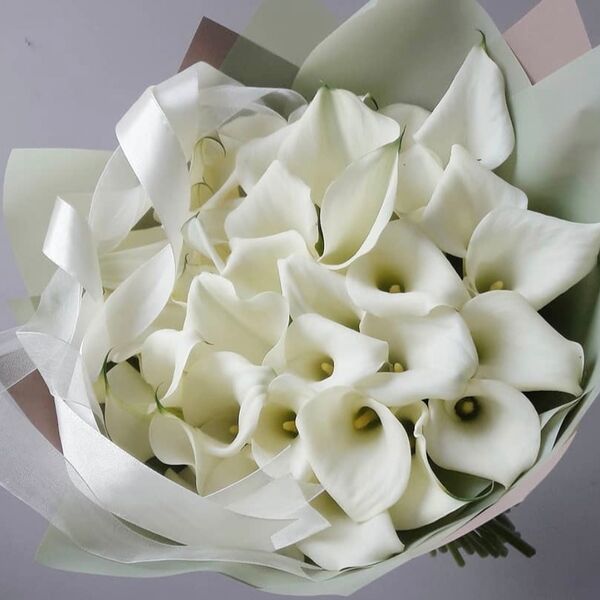 Букет из белых калл