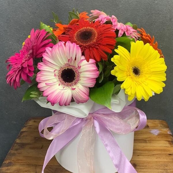 Радуга гербер