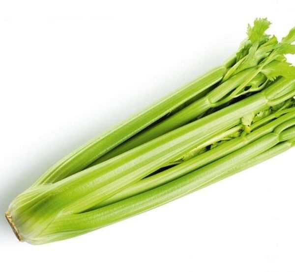  Сельдерей стебли