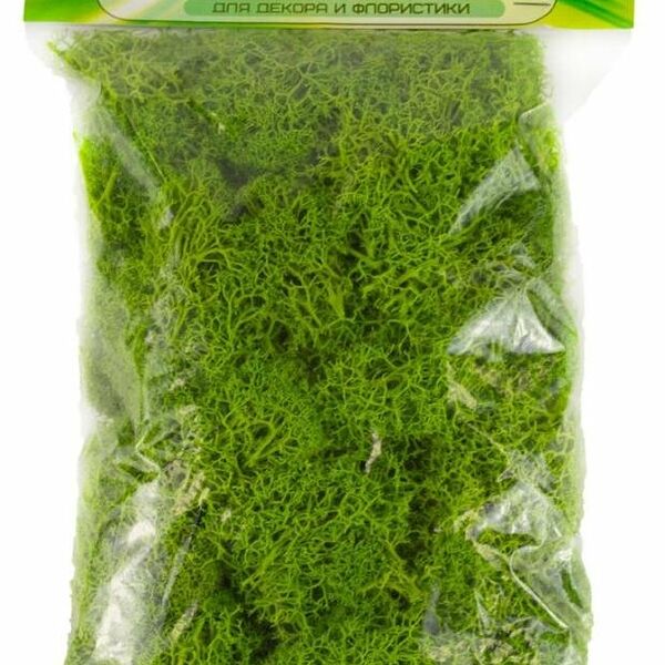 Мох Азалия Декор Ягель лайм