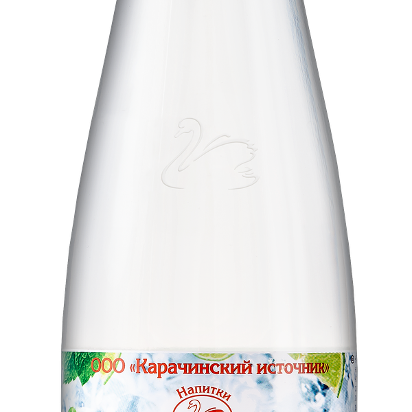 Газированный напиток Карачинский источник Мохито