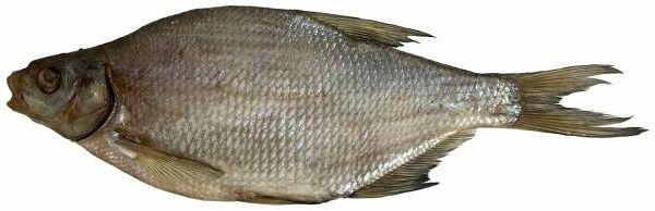 Лещ вяленый слабосоленый