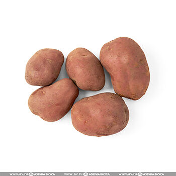 Картофель красный новый урожай вес