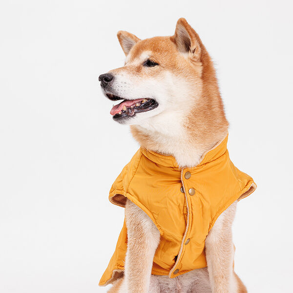 Куртка с ушками для собак, 4XL, желтая