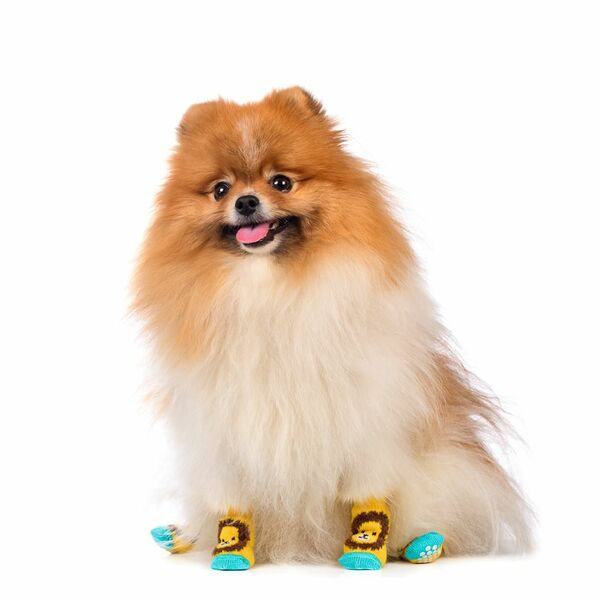 Носки для собак S желтый (унисекс)