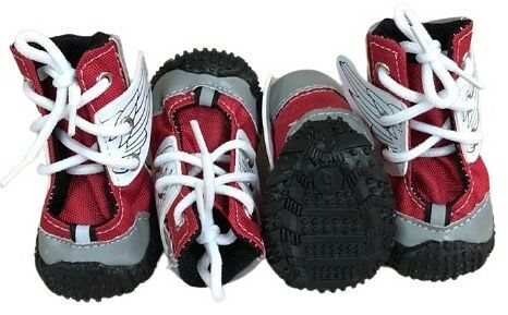 Pet Fashion Кроссовки 