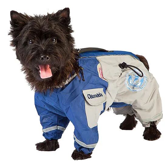 Комбинезон для собак Рейнджер №43 M (девочка)