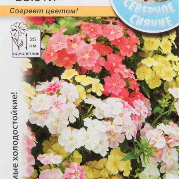 Флокс Бьюти Русский Огород, 50 шт.