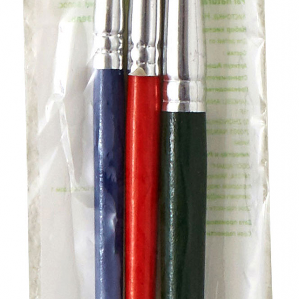 Кисти Каждый день, 3 шт