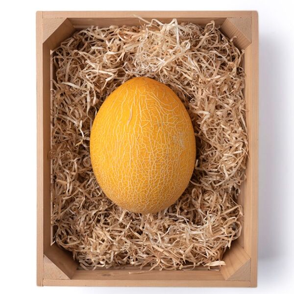 Дыня Гуляби вес