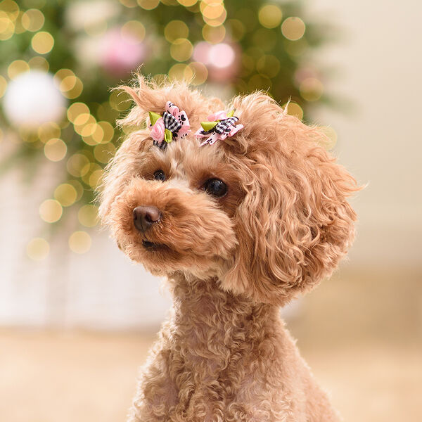 Бантик розовый с лапками 2шт