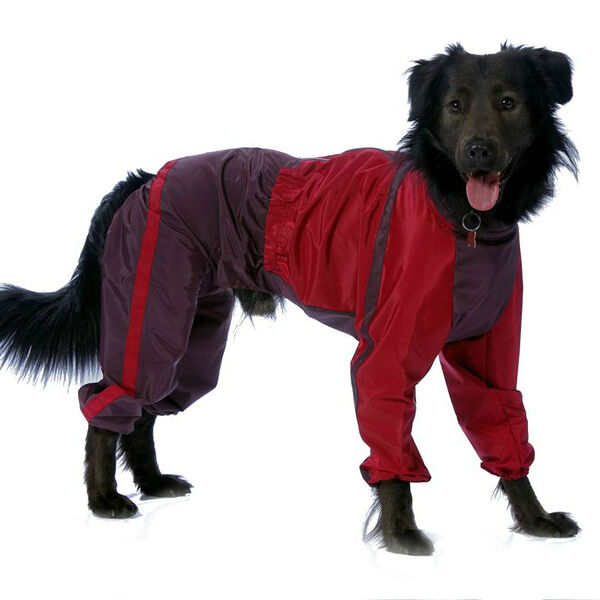 Комбинезон теплый для собак Лабрадор 4XL (девочка)