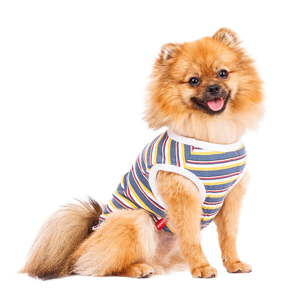 Футболка для собак XS желтый (унисекс)