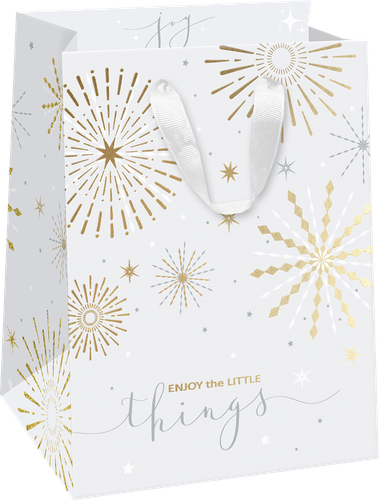 

Пакет подарочный Gloss премиум 14х19х11 см в ассортименте