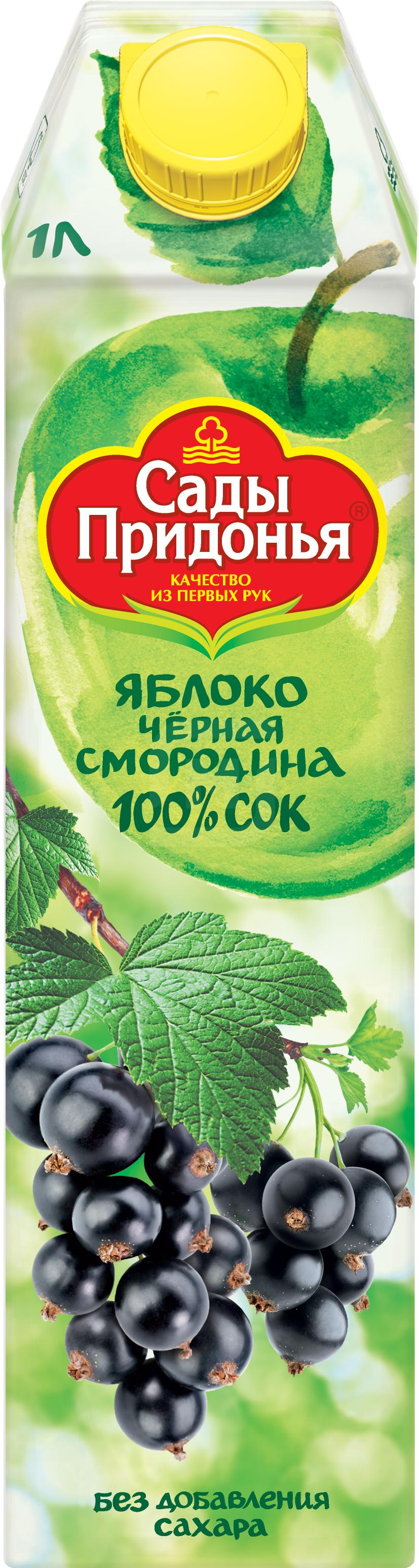 

Сок Сады Придонья Яблоко-черная смородина 1л