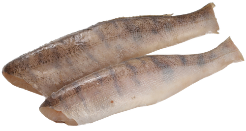 

Судак потрошеный без головы, весовой