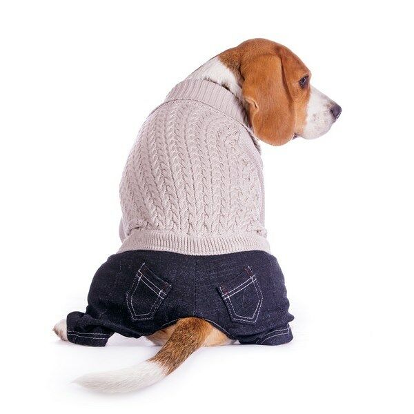 Свитер со штанами для собак 41см 2XL серый (унисекс)