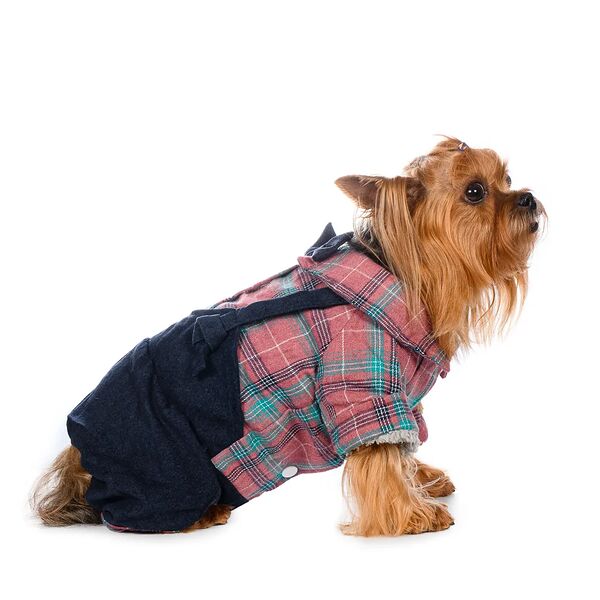 Костюм с рубашкой для собак L розовый (девочка)