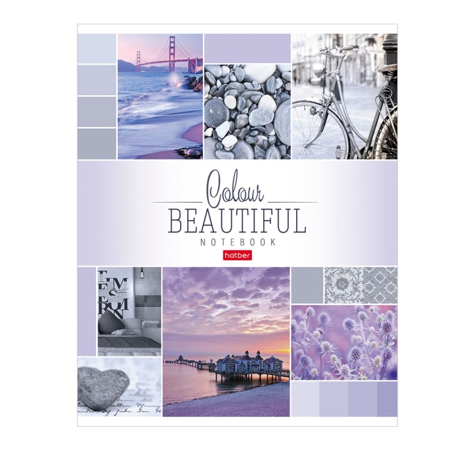 

Тетрадь HATBER Beautiful colour 96л А5ф клетка на скобе, Россия в ассортименте