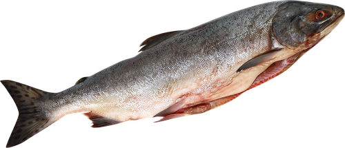 

Горбуша вес