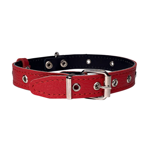 Dono Della ошейник универсальный двухслойный 20 мм. х 40 см., Красный