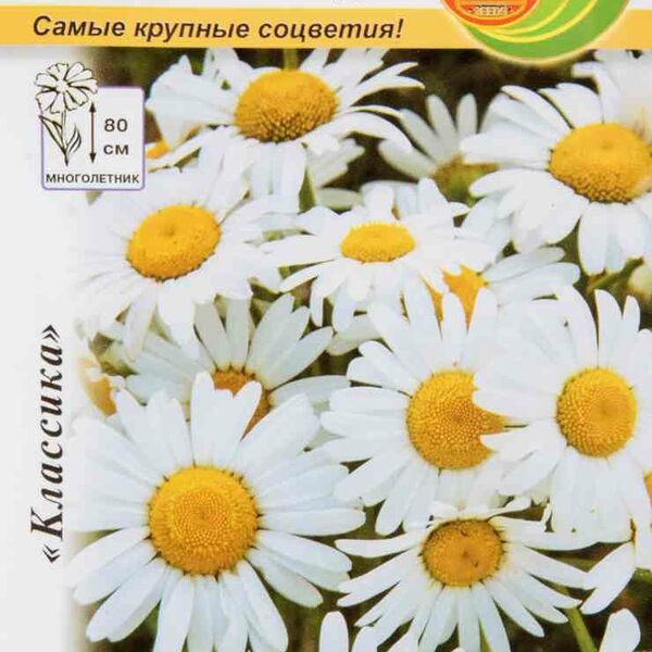 Семена Ромашка садовая Северная звезда Русский Огород