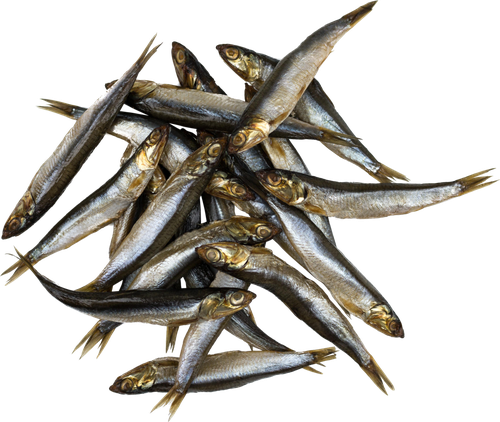 

Хамса холодного копчения КАПИТАН неразделанная, весовая