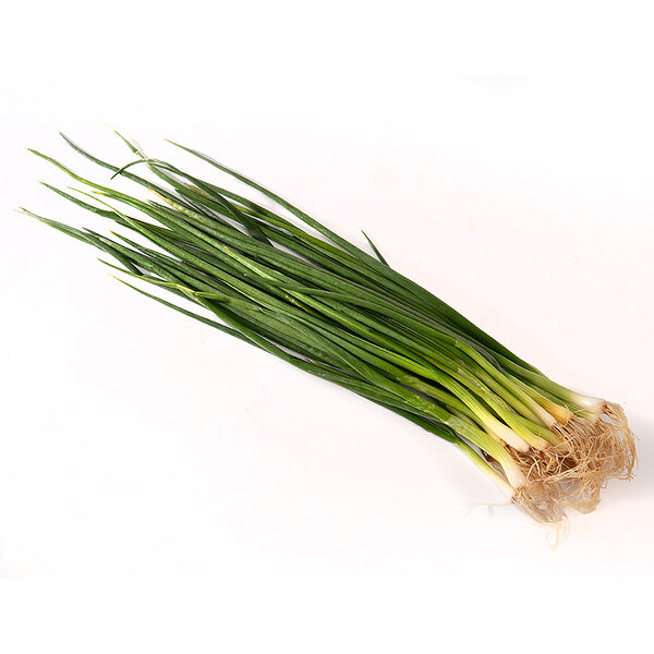 Лук молодой Перо