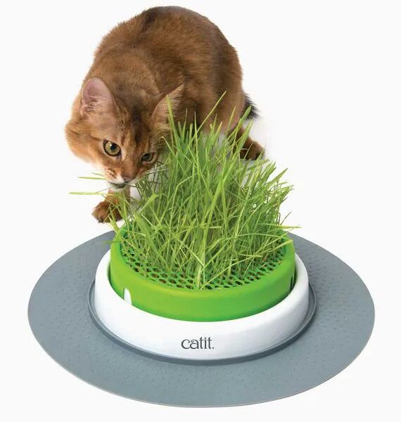 Catit Сад с травкой для кошек