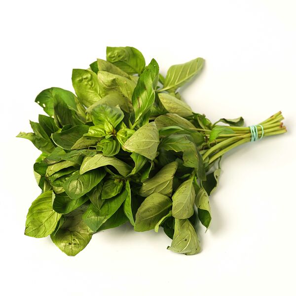 Базилик зелёный свежий