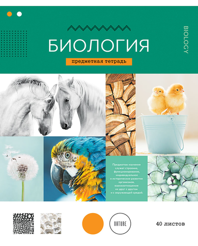 

Тетрадь СПЕЙС Тематическая 40л.Биология