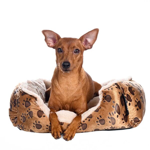 Лежак Rurri для кошек и собак мелких и средних пород 50х40х18 см коричневый с лапками