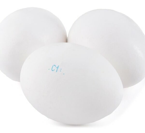 Яйца куриные Окское 180шт