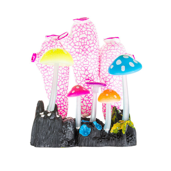 Асцидии с грибами с распылителем в цвете 11х8х12см