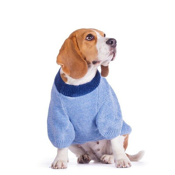 Свитер с завязками для собак 41см 2XL голубой (унисекс)