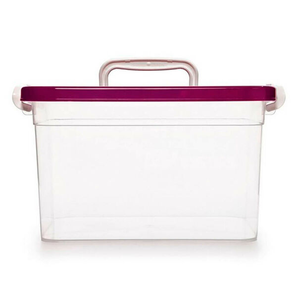 Контейнер для хранения 6,5л Полимербыт 310*200*180