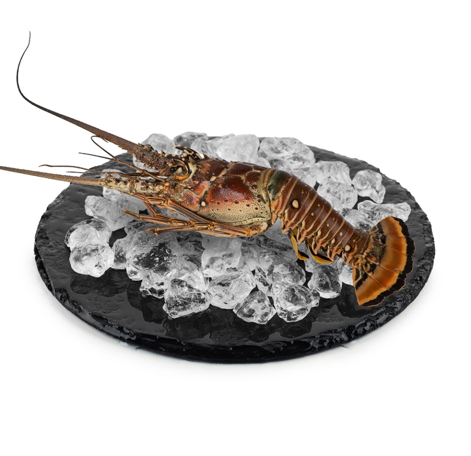 

Лангустины с/м Тунис