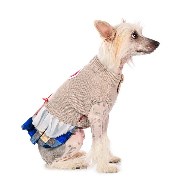 Платье-свитер для кошек и собак XL бежевый (унисекс)