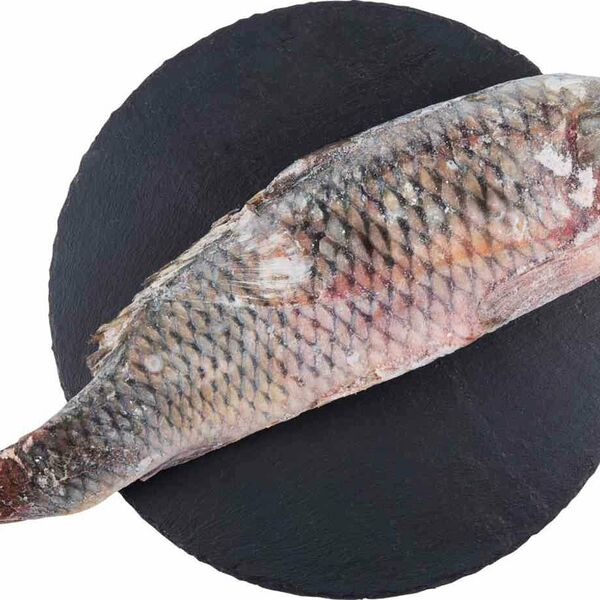 Сазан мороженый неразделанный