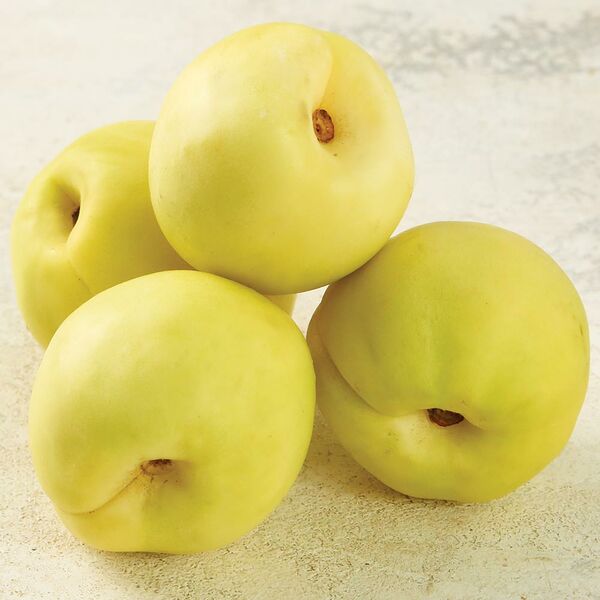 Нектарины белые Узбекистан