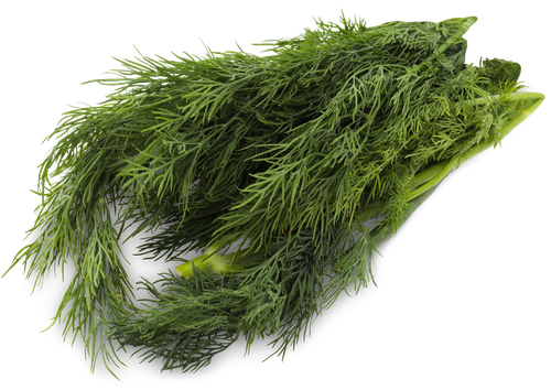 

Укроп Лента свежий 50 г