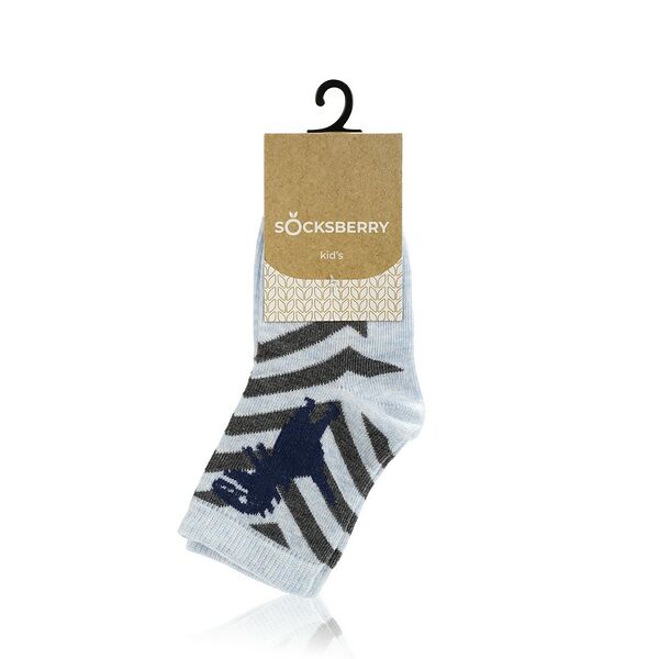 Детские носки Socksberry Kids KS-0043 